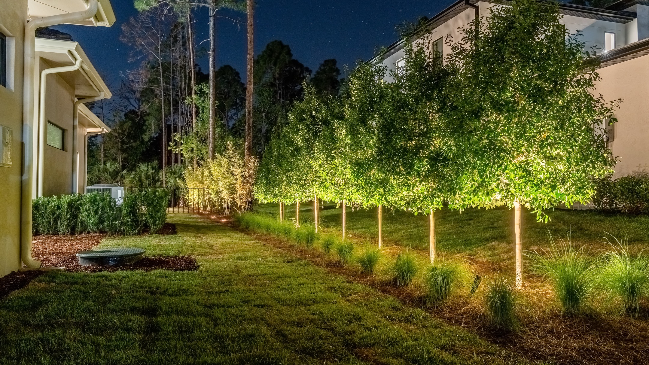 Landscape Lighting